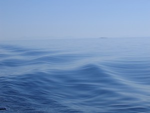 IMG_2115