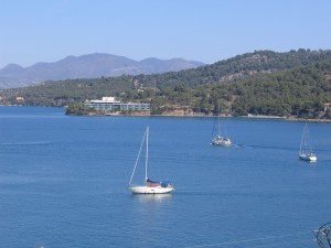 IMG_2139